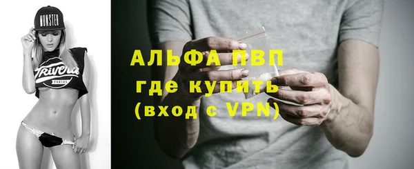 спиды Магас