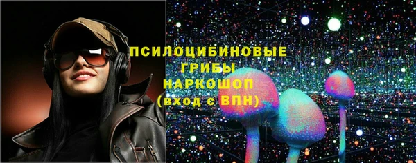 спиды Магас
