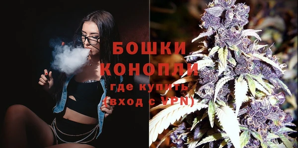 МДПВ Мегион