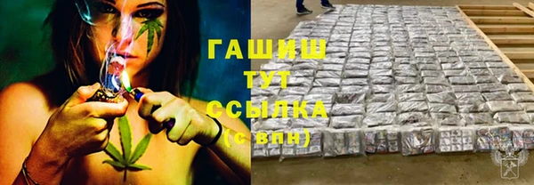 спиды Магас