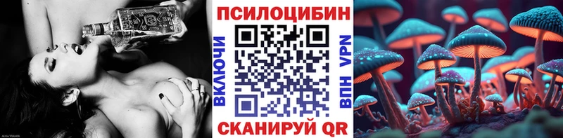 где купить   Сухиничи  ОМГ ОМГ как войти  Псилоцибиновые грибы Cubensis 